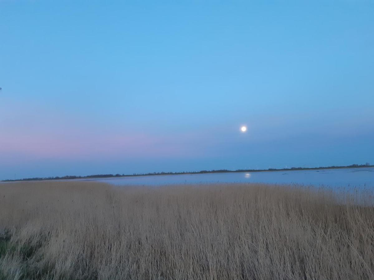 通宁Nordlichthuus别墅 外观 照片